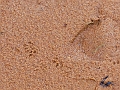 16 07 15_6032_edited-1
